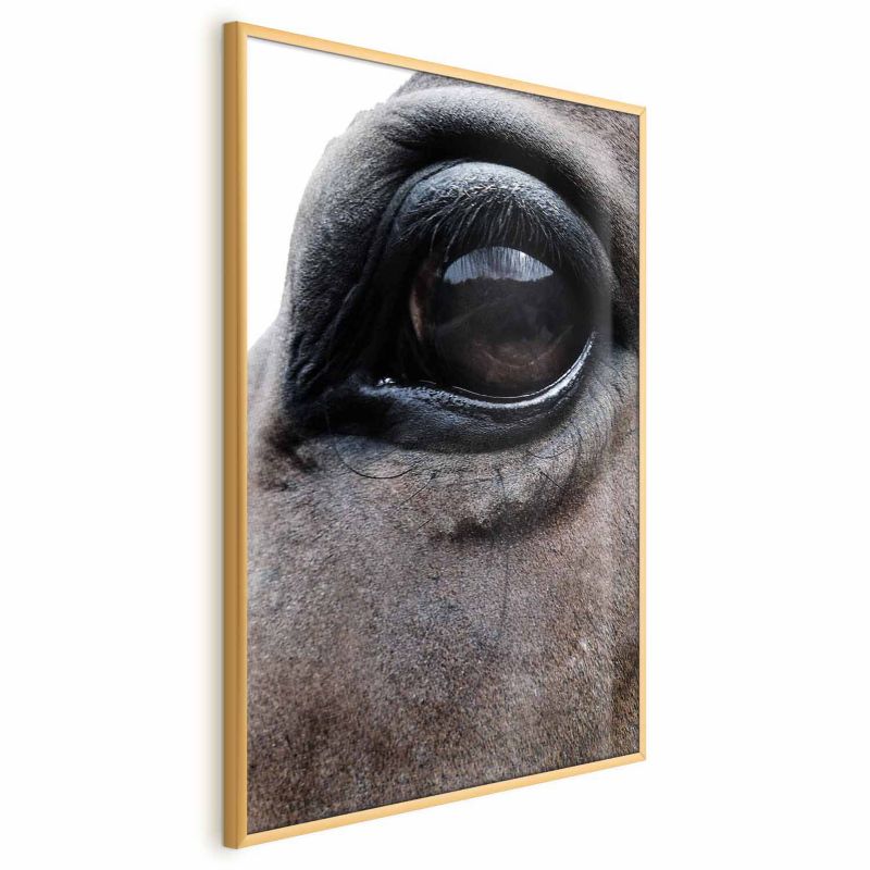 Plakat Artgeist Szczere oczy 60x90 cm z ramą złotą 1 szt
