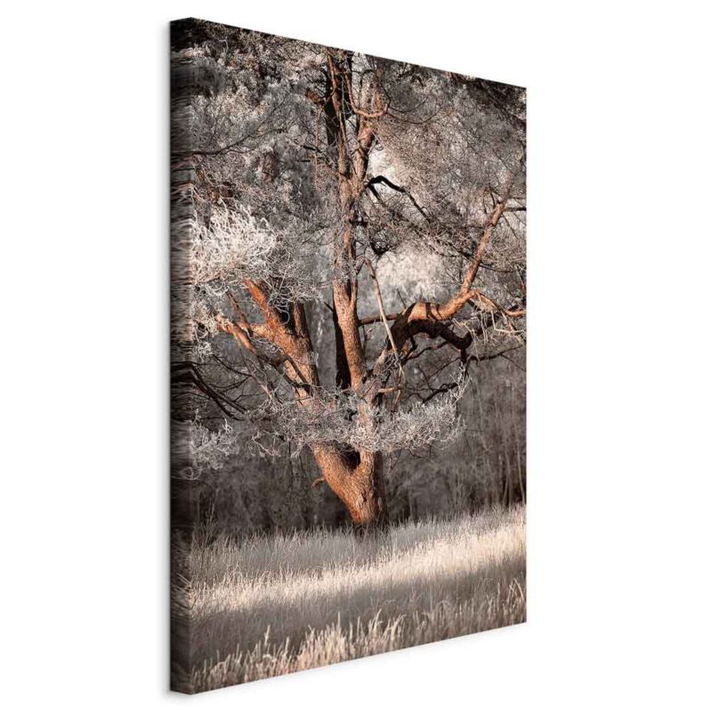 Obraz Artgeist Moja historia 40 x 60 cm płótno włoskie 1 szt
