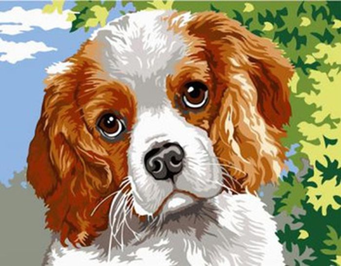 DIAMENTOWA MOZAIKA PIES ŁACIATY PORTRET PAK 120 30 x 40 cm