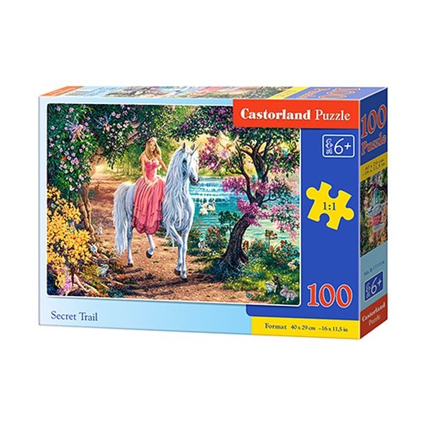 Puzzle 100 B-111114 Secret Trail