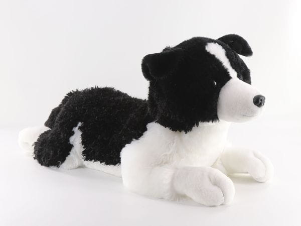 Pies Border Collie 60 cm leżący