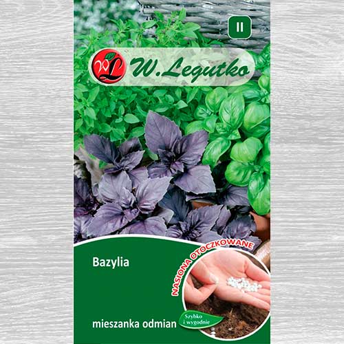 1 szt, Bazylia, mieszanka odmian - Nasiona: Ilość w opakowaniu: 50 szt