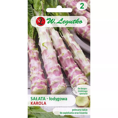 1 szt, Salata lodygowa Karola - Nasiona: Ilość w opakowaniu: 0.5 g