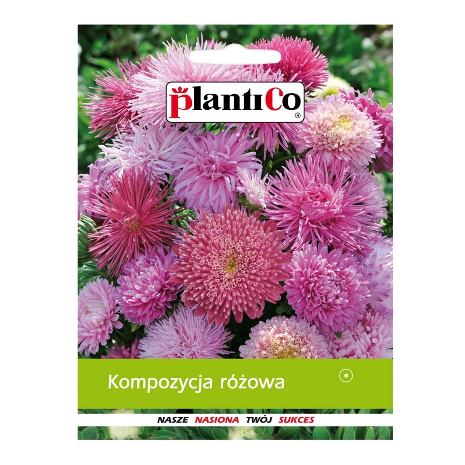 Kompozycja różowa