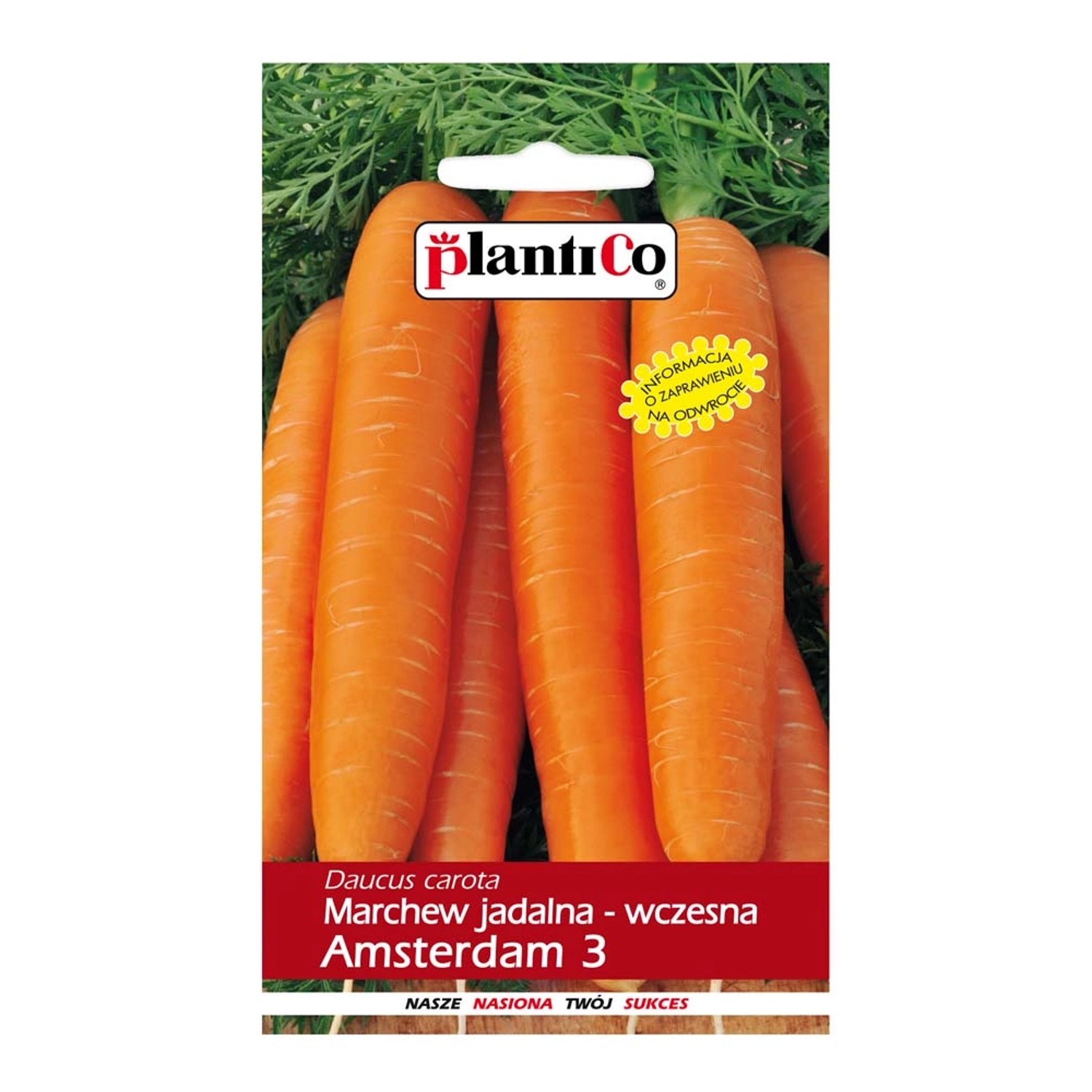 Marchew Amsterdamska