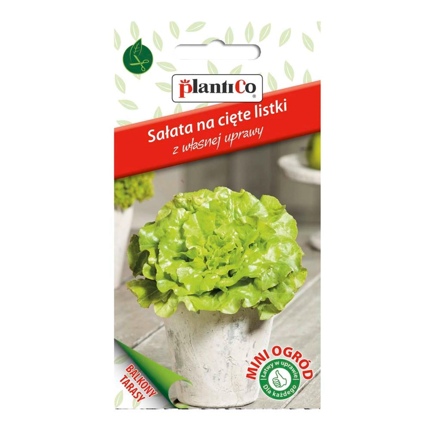 Sałata gładka zielona - 1 g