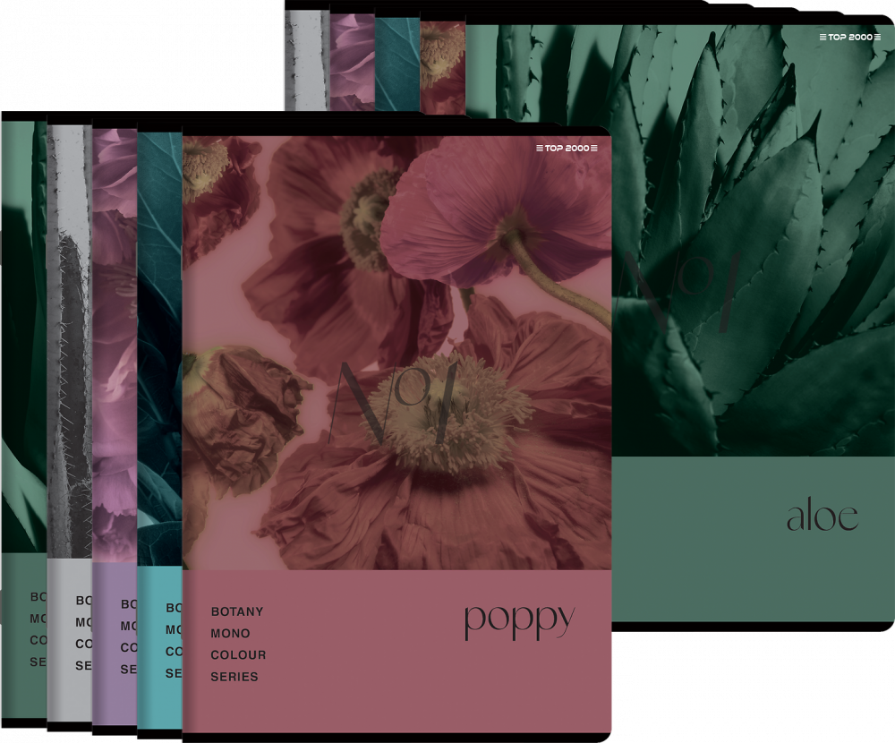 10x Zeszyt w kratkę TOP 2000 Botany, A5, 60 kartek, mix wzorów
