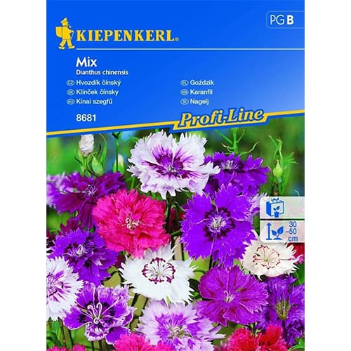 1 pac, Garoafă, mix multicolor Legutko - Semințe: Mod de ambalare: 1 g