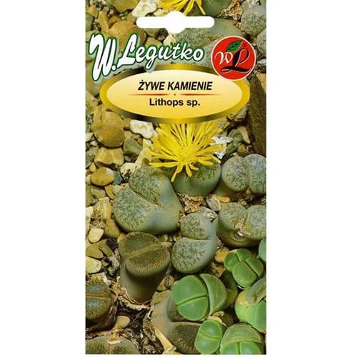 1 pac, Lithops (Piatră vie), mix multicolor - Semințe: Mod de ambalare: 50 semințe