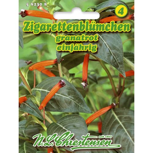 1 pac, Planta țigaretă (Cuphea ignea) Garnet Red - Semințe: Mod de ambalare: 1 pac