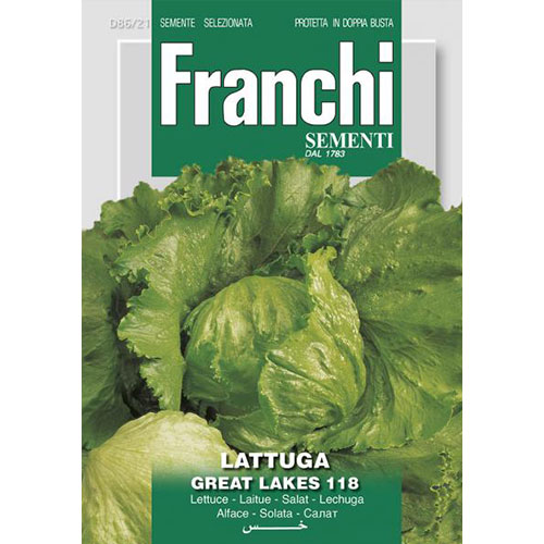 1 pac, Salată iceberg Great Lakes 118 - Semințe: Mod de ambalare: 6 g
