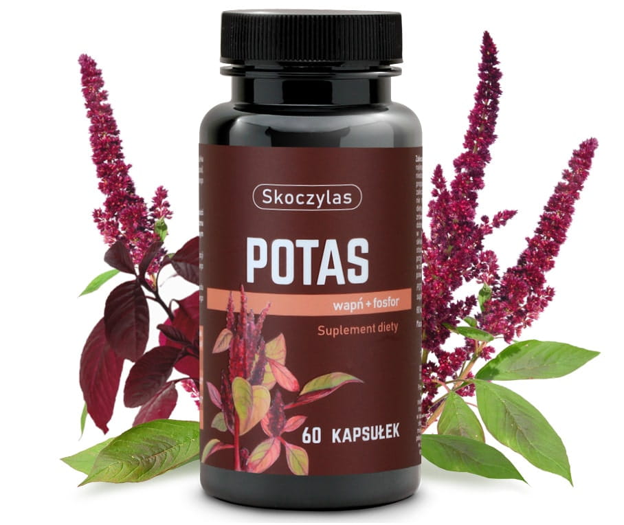 Potas + Wapń + Fosfor 60kaps. Skoczylas