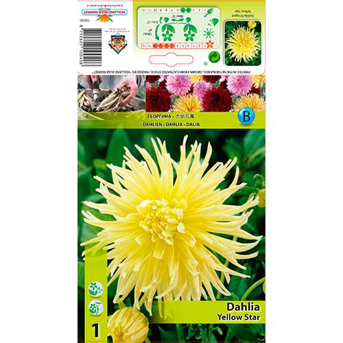 1 cib, Jiřina Yellow Star - : Monžstvo balíkov: 1 cib