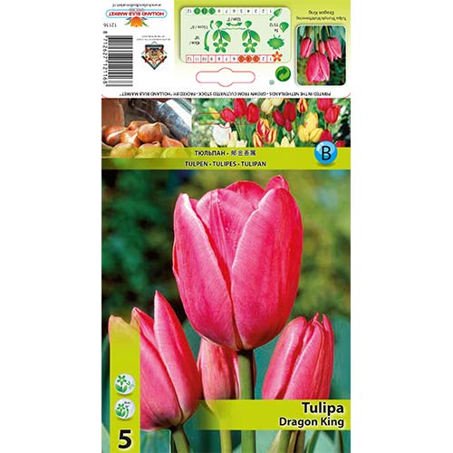 5 kus, Tulipán Dragon King - : Monžstvo balíkov: 5 kus