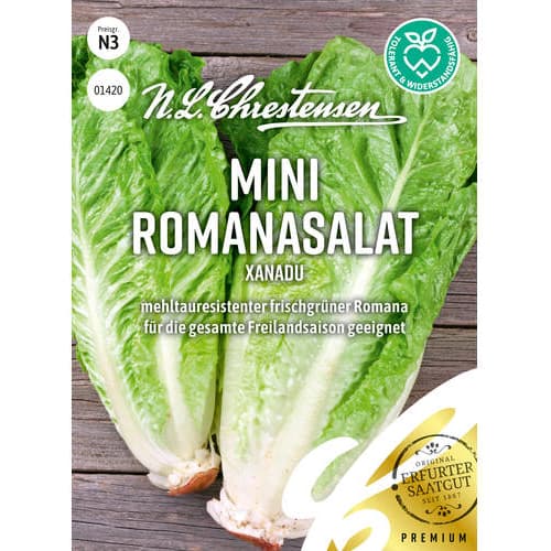 Šalát rímsky mini Xanadu Pillensaat - : Monžstvo balíkov: 1 ob