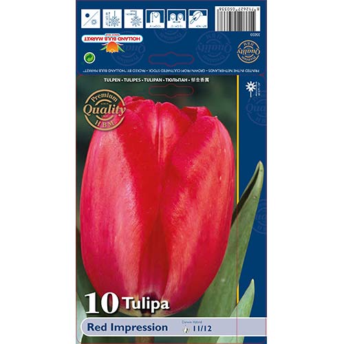 10 db, Tulipán Red Impression - Hagymák: Mod de ambalare: 10 db