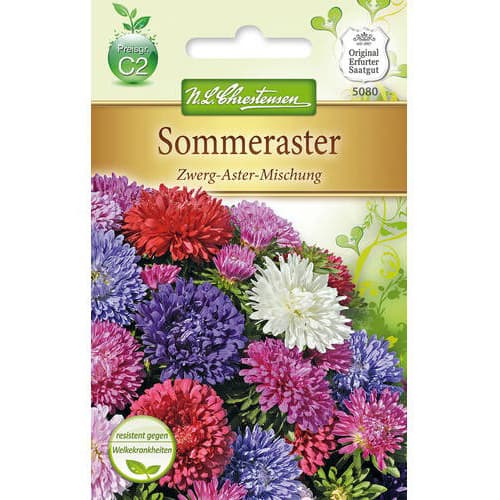 1 szt, Sommeraster Zwerg - Aster - Samen: Ilość w opakowaniu: 1 Stück