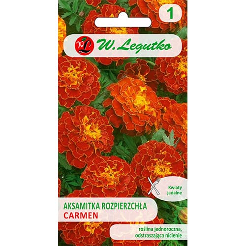 1 szt, Studentenblume Carmen rot - Samen: Ilość w opakowaniu: 0.5 g
