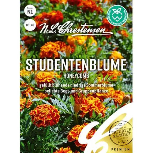 1 szt, Steudentenblume Honeycomb - Samen: Ilość w opakowaniu: 1 Stück