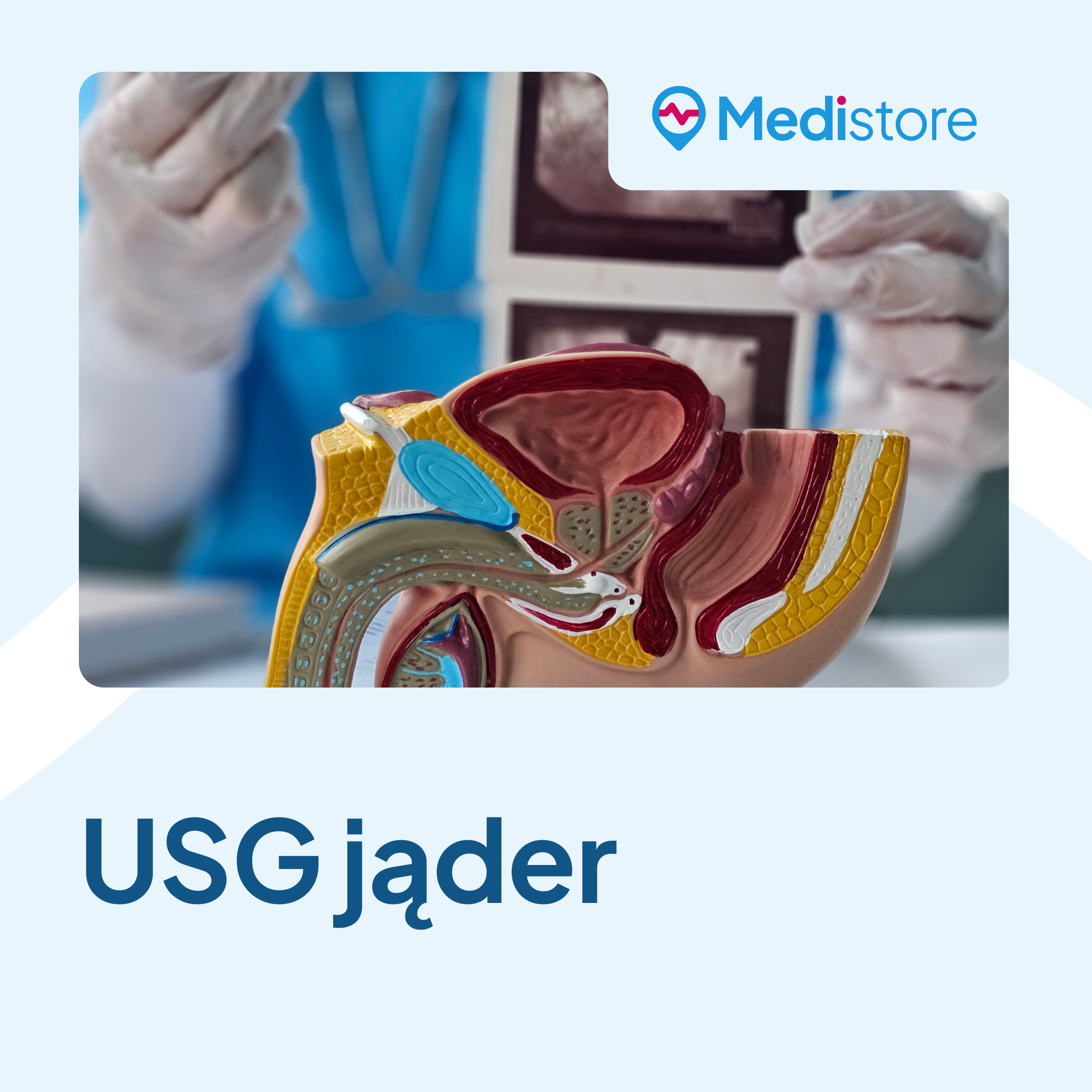 USG jąder