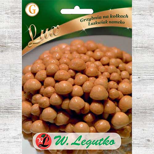 1 szt, Łuskwiak nameko - grzybnia na kołkach - Grzybnia: Ilość w opakowaniu: 20 szt