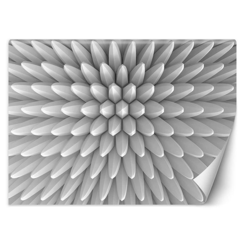Fototapeta Feeby Abstrakcja kolce tekstura 3D 450x315 1 szt