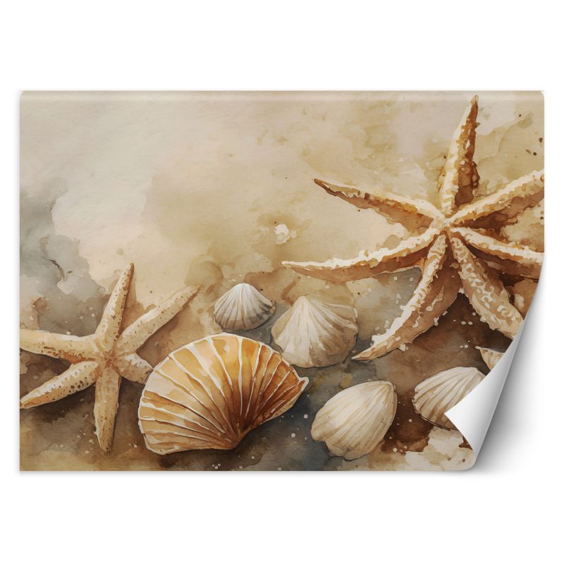 Fototapeta Feeby morski muszle i rozgwiazdy akrylowy 350x245 1 szt