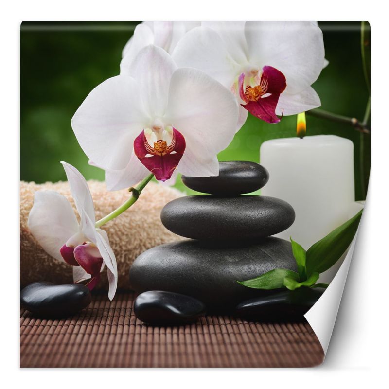 Fototapeta Feeby Orchidea świeczka i kamienie zen w SPA 150x150 1 szt