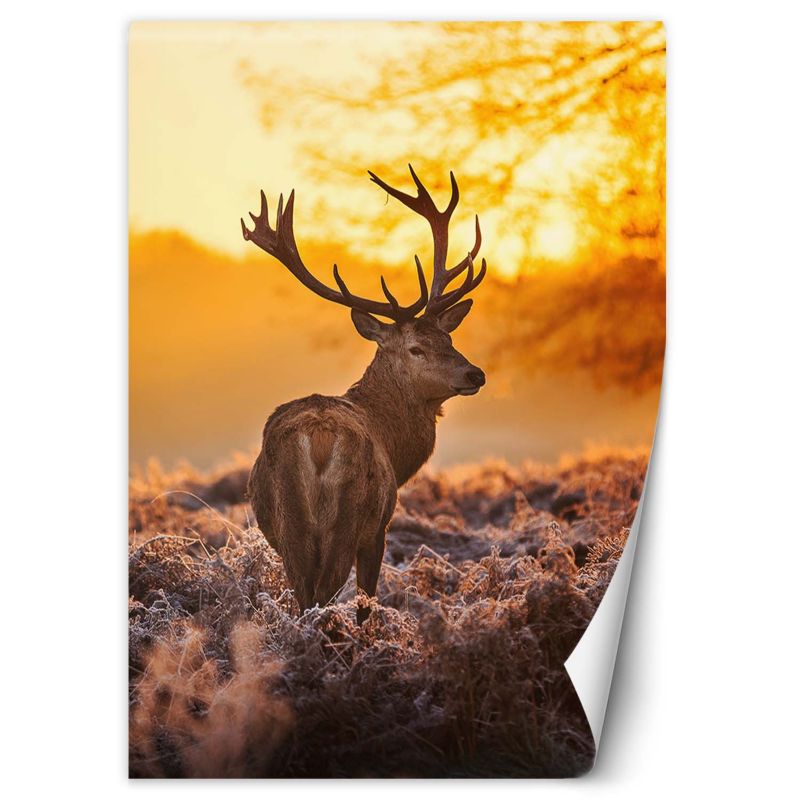Fototapeta Feeby Jeleń o zachodzie słońca 150x210 1 szt