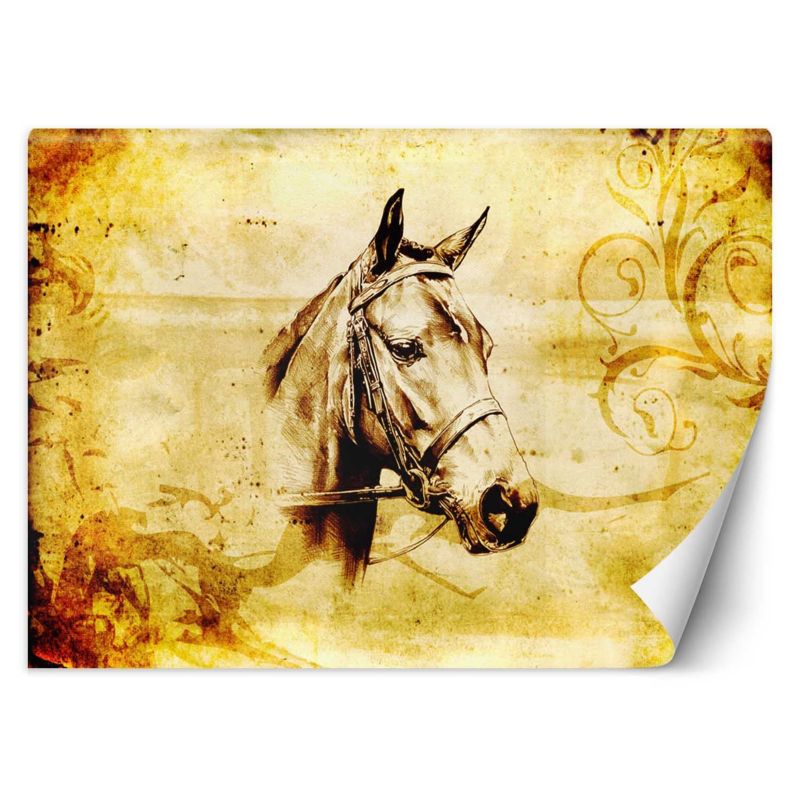 Fototapeta Feeby Koń vintage 450x315 1 szt