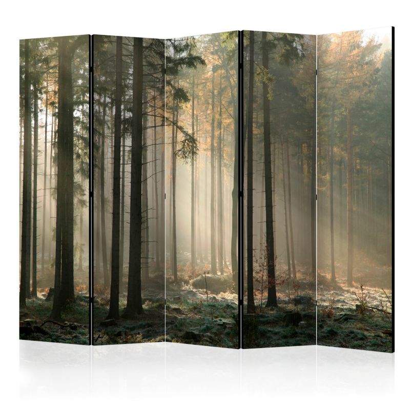 Parawan jednostronny Artgeist Pejzaże 225x172 cm Pejzaże 1 szt