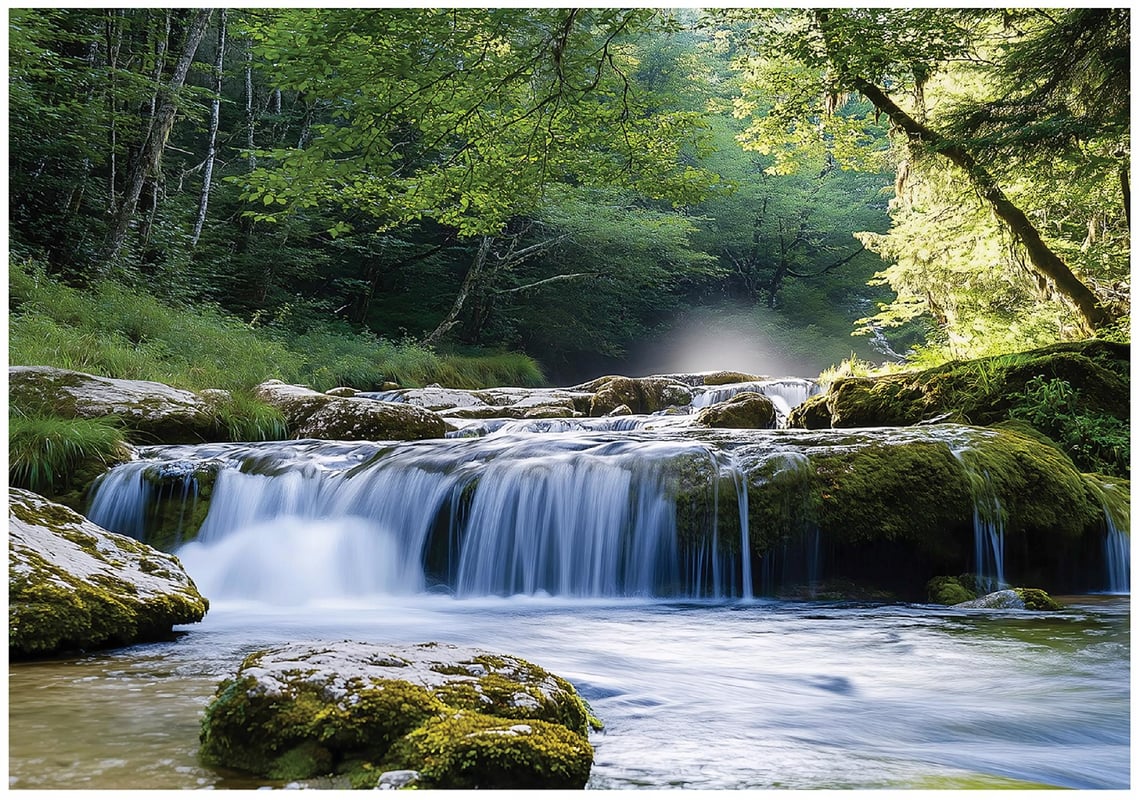 Fototapeta 3D Las Wodospad Krajobraz Natura 300x210 cm Tapeta Do Sypialni Salonu Kuchni Na Flizelinie