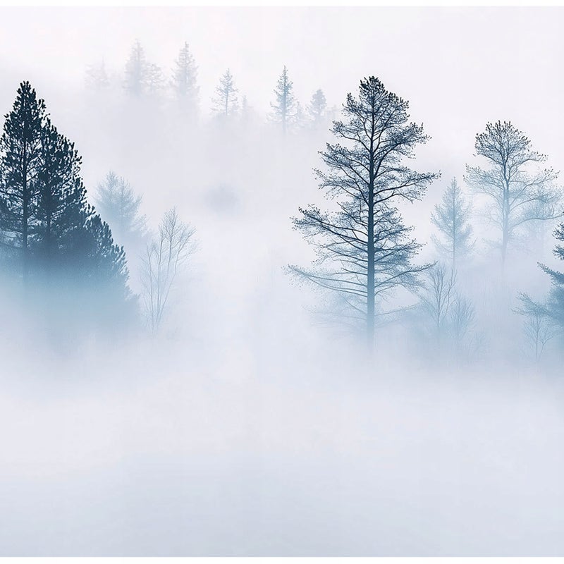 Fototapeta Las we mgle Natura 250x175 cm Tapeta Do Sypialni Salonu Kuchni Na Flizelinie