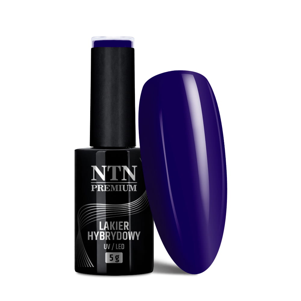Lakier hybrydowy Ntn Premium After Midnight Collection 5 g Nr 69