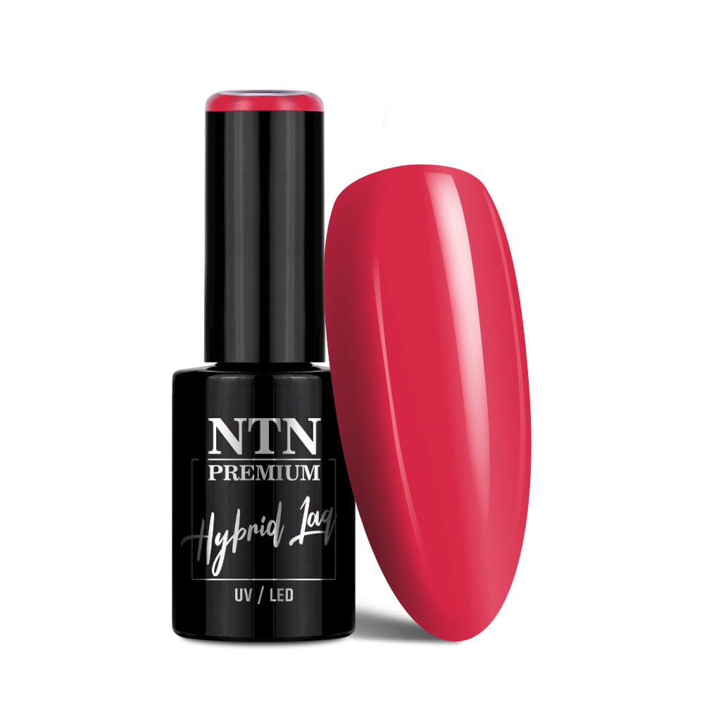 Lakier hybrydowy NTN Premium Limited Edition 5g Nr 342