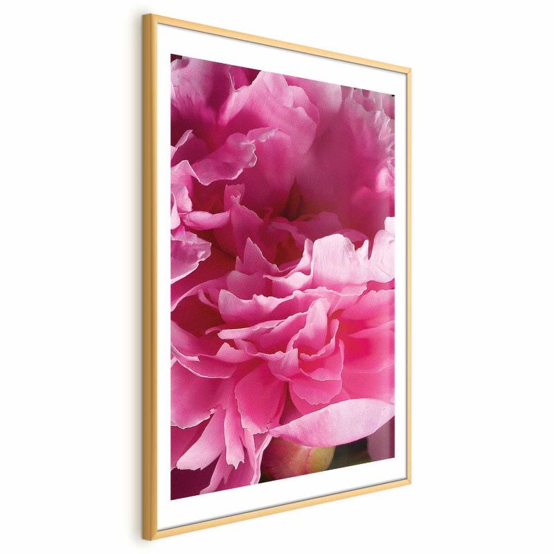 Plakat Artgeist Piękne piwonie 40x60 cm z ramą złotą 1 szt