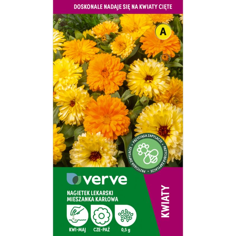 Nasiona nagietek lekarski Daisy mix Verve