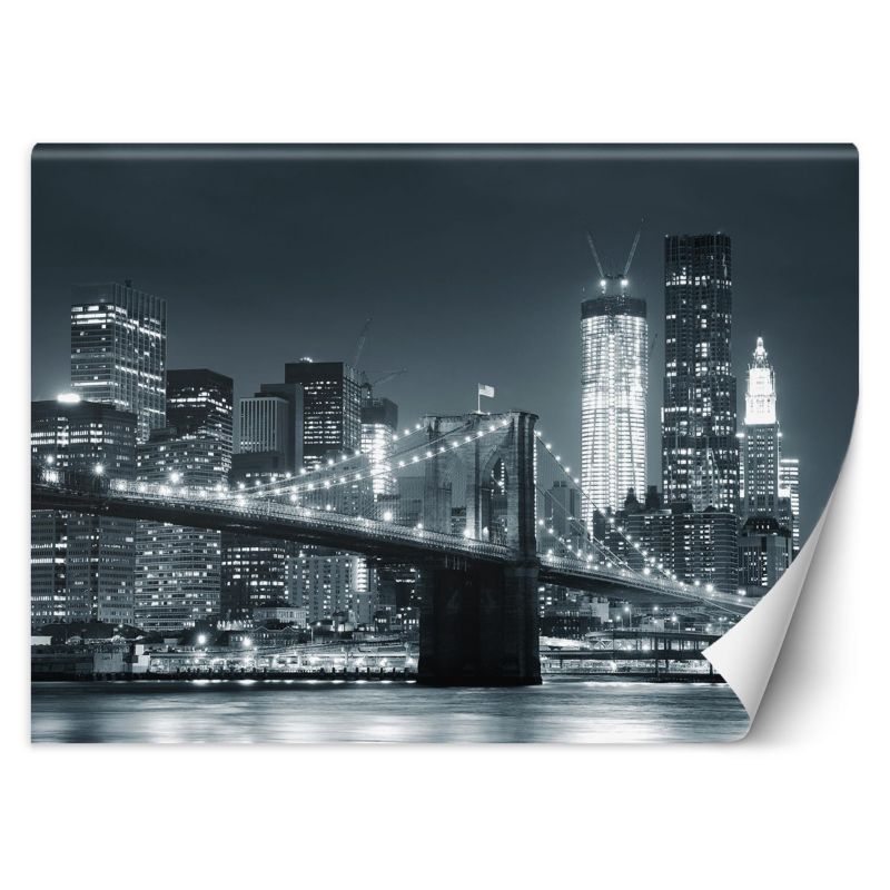 Fototapeta Feeby Nowy Jork Most Brookliński czarno-biały 450x315 1 szt
