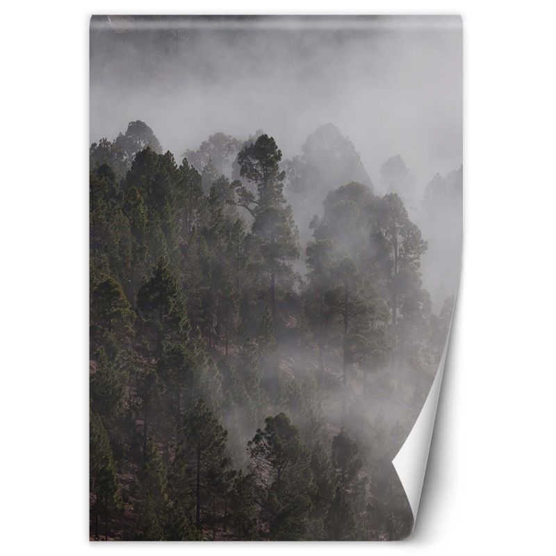 Fototapeta Feeby Zielony las we mgle 150x210 1 szt