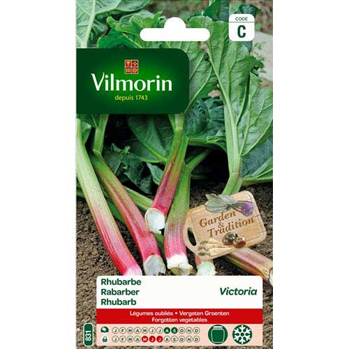 1 szt, Rabarbar Victoria Vilmorin - Nasiona: Ilość w opakowaniu: 0.5 g