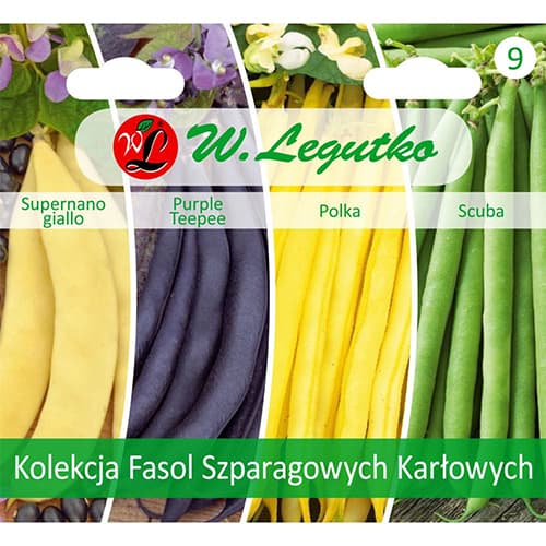 1 szt, Kolekcja fasol szparagowych karłowych, 4 odmiany - Nasiona: Ilość w opakowaniu: 1 opak