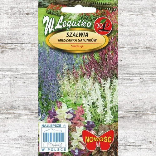 1 szt, Szałwia, mieszanka gatunków Legutko - Nasiona: Ilość w opakowaniu: 0.3 g