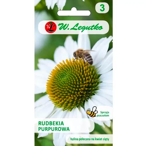 1 szt, Jezowka (Echinacea) biała - Nasiona: Ilość w opakowaniu: 0.5 g