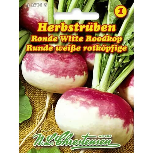 Rzepa Ronde Witte Roodkop - Nasiona. Ilość w opakowaniu: 1 opak - GradinaMax