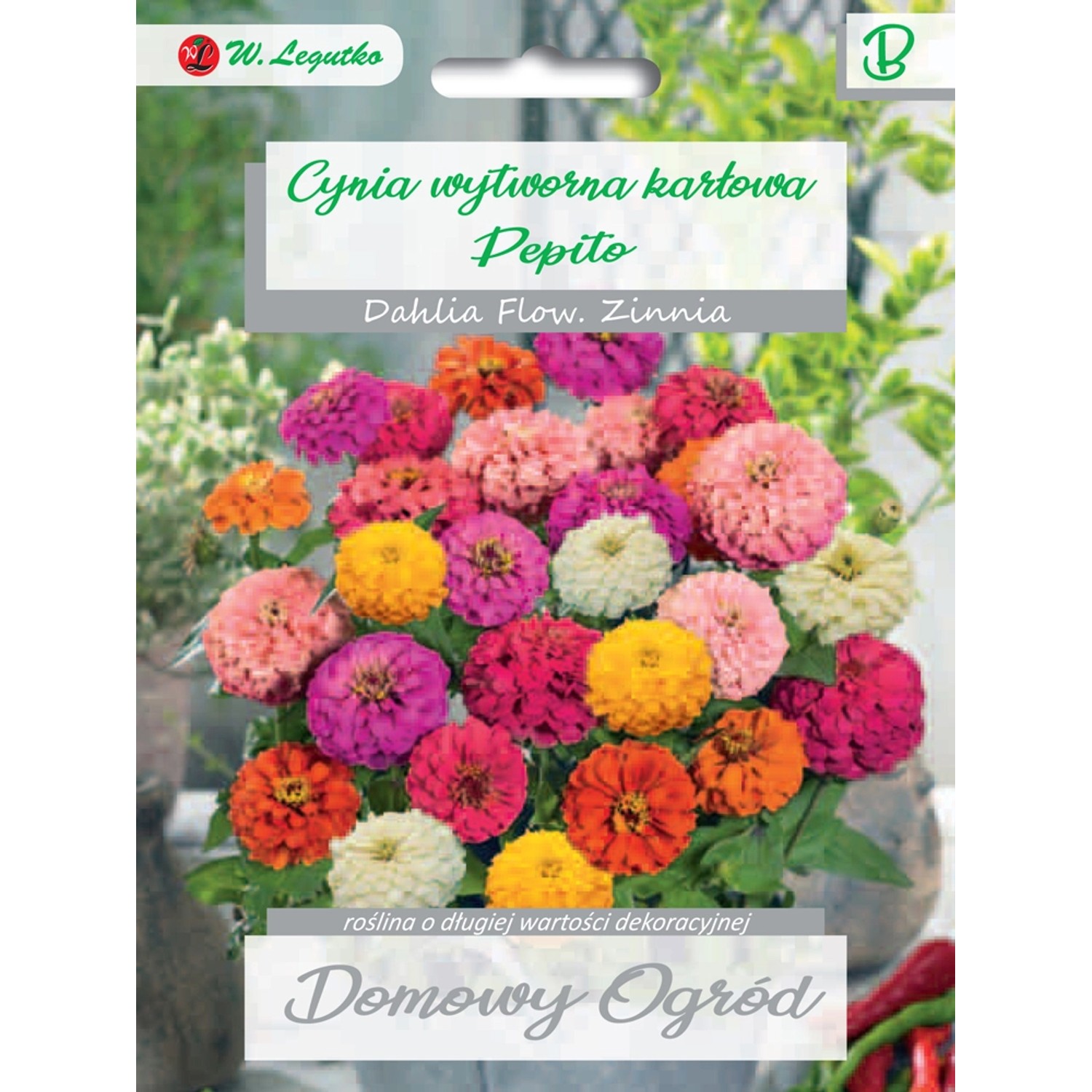 Cynia wytworna karłowa Pepito 0,5g