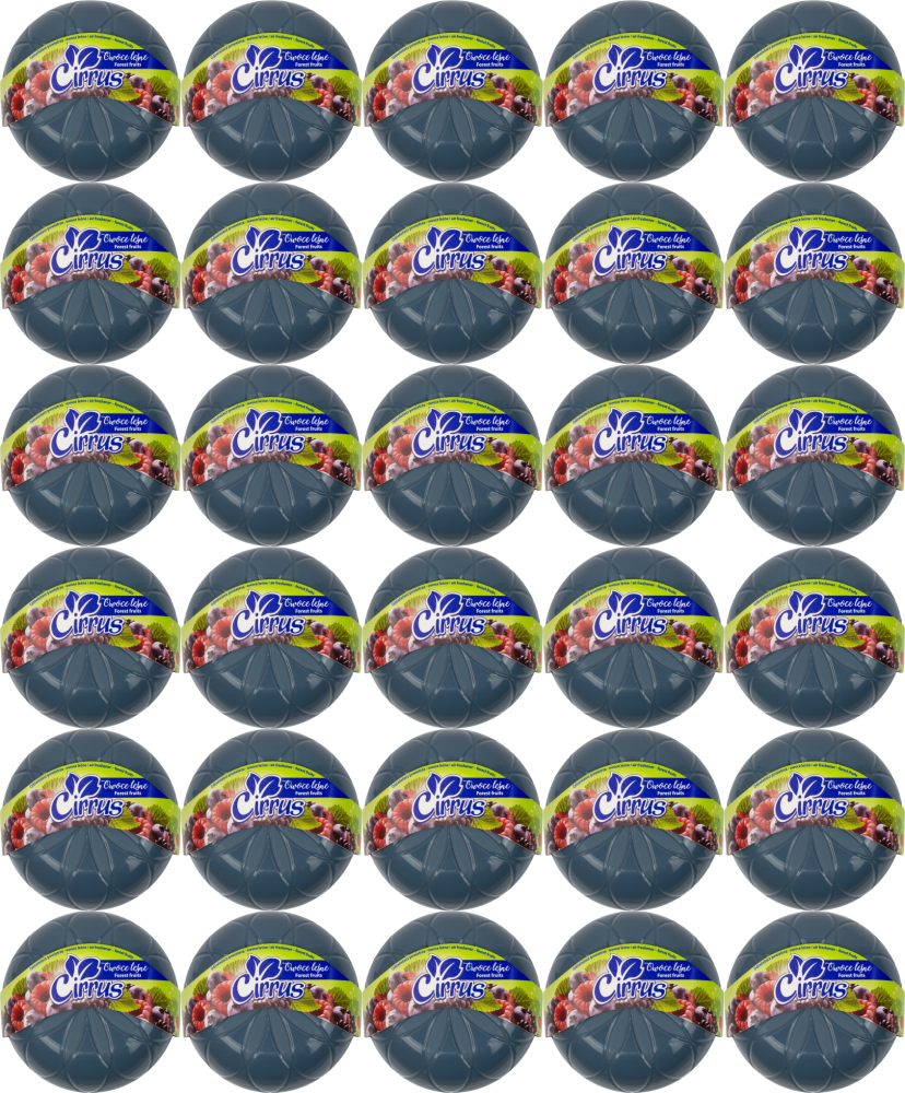 48x Odświeżacz powietrza Cirrus kwiat, owoce leśne, żel, 150g