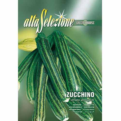 1 pac, Dovlecel zucchini Striato di Napoli - Semințe: Mod de ambalare: 8 g