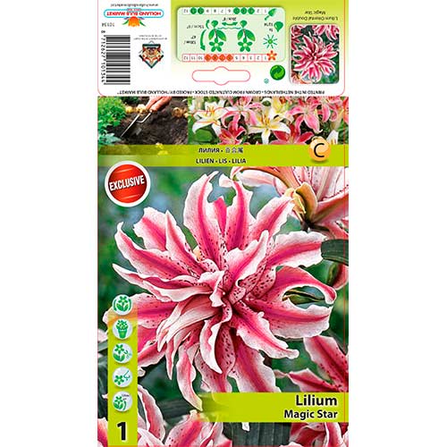 1 buc, Crin Magic Star - Bulbi: Mod de ambalare: 1 buc