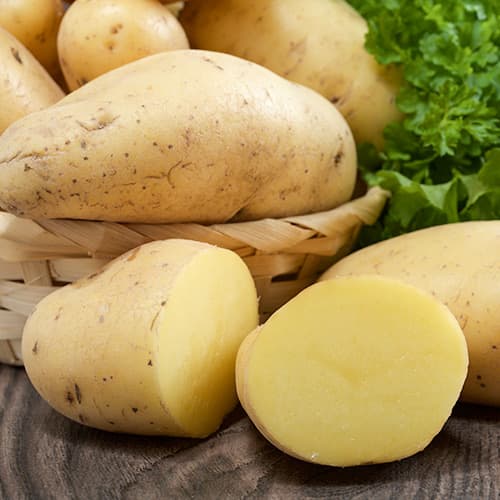 1 kg, Vetőburgonya Rashida - Gumók: Mod de ambalare: 1 kg
