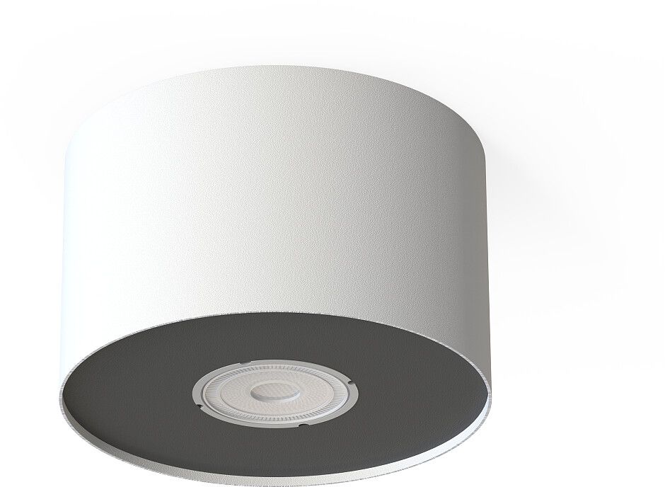 Nowodvorski Lighting Point lampa podsufitowa 1x10 W biała-srebrna-grafitowa 6000